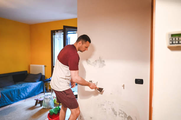 Best Mold Remediation for Specific Building Types in Bohemia, NY